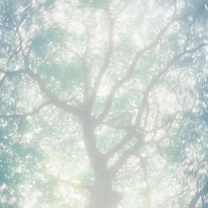 猛肏欧美巨乳美女B啪B啪
